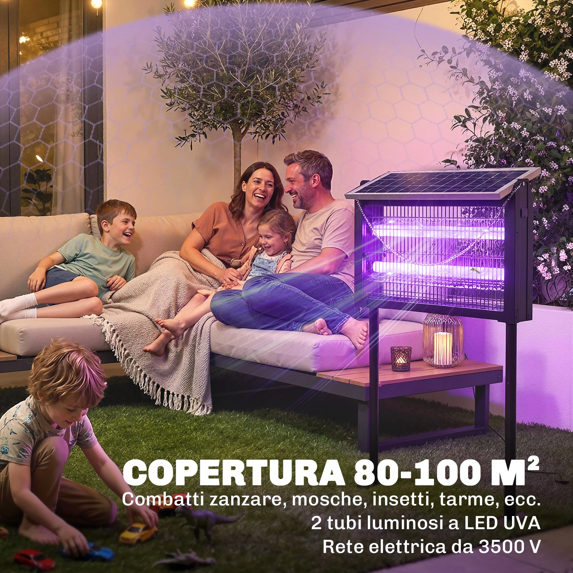 Miniatura 7