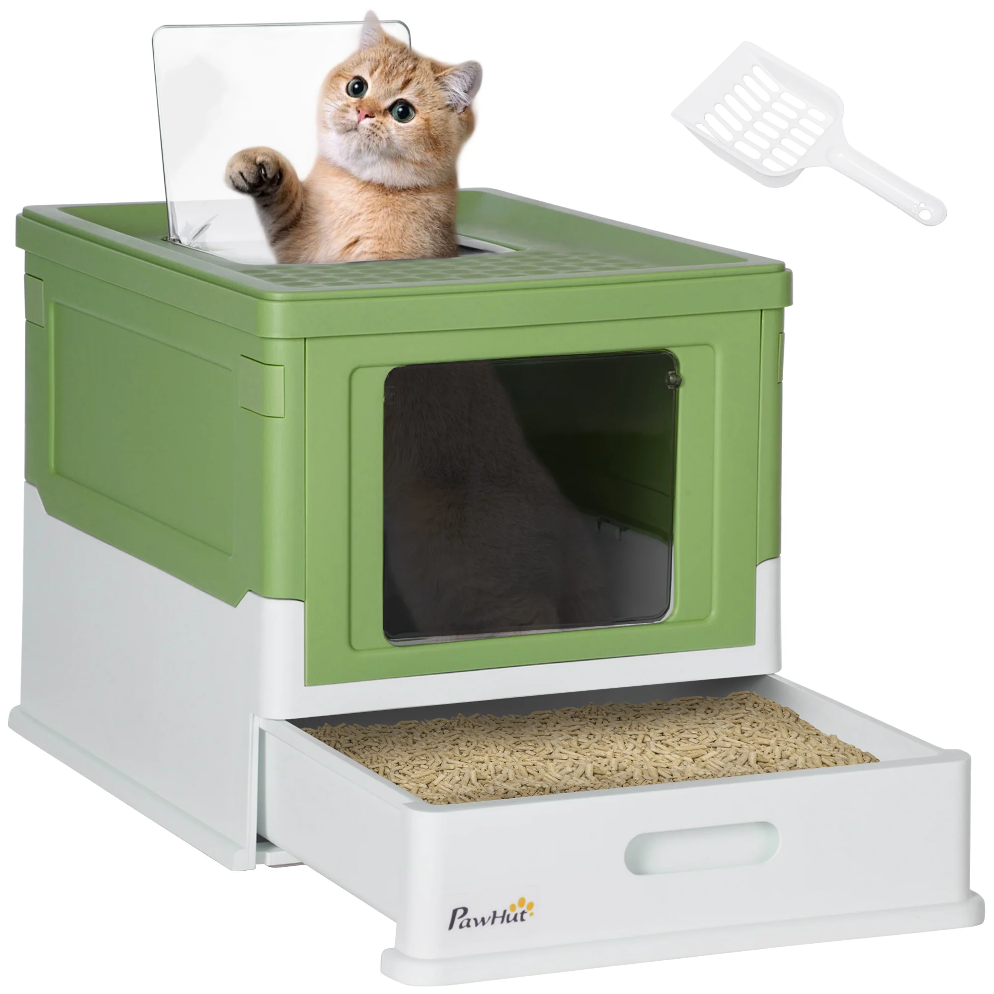Miniatura 1