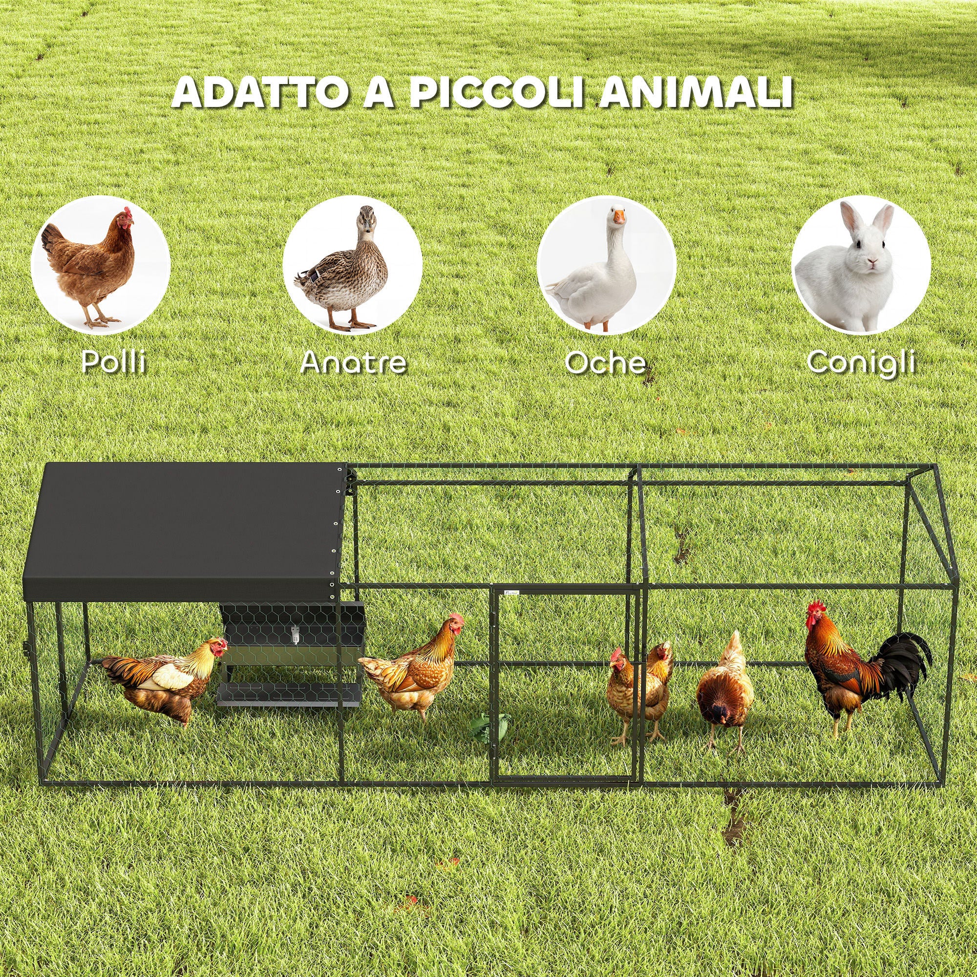Miniatura 8
